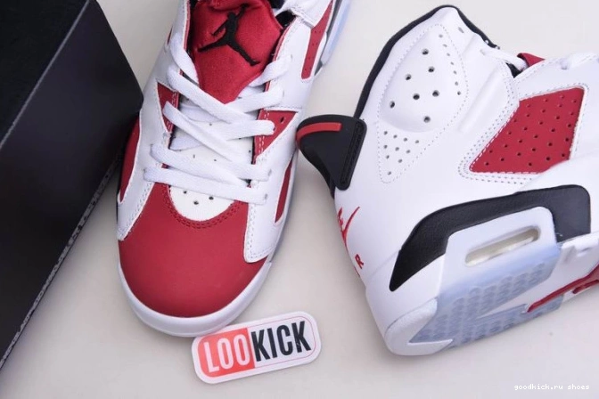 Rep RETRO CT8529-106 6 2021 AIR 'CARMINE' JORDAN 0713